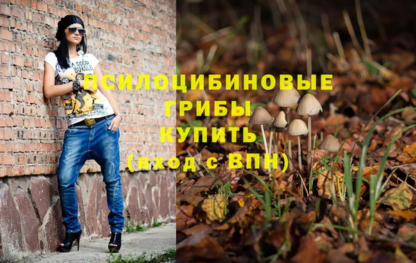 стаф Волоколамск