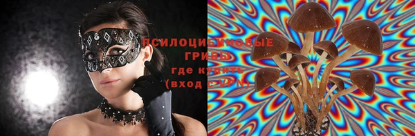 дмт Инта