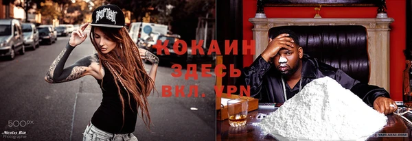 стаф Волоколамск