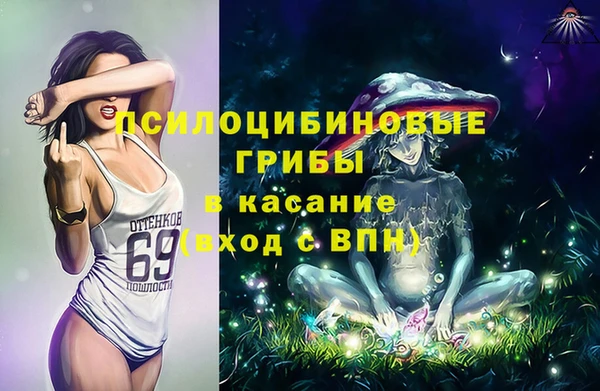 стаф Волоколамск