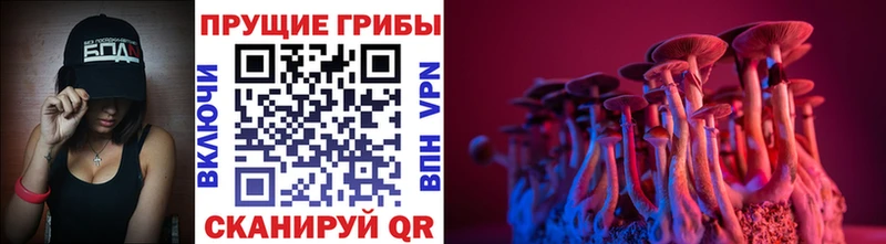 Галлюциногенные грибы GOLDEN TEACHER  Вичуга 
